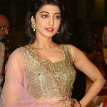Actress Pranitha Subhash At Ntr Biopic Audio Launch Pictures 03Actress Pranitha Subhash At Ntr Biopic Audio Launch Pictures 03 svg%3E