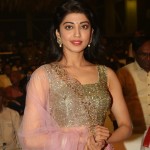 Actress Pranitha Subhash At Ntr Biopic Audio Launch Pictures 04Actress Pranitha Subhash At Ntr Biopic Audio Launch Pictures 04 svg%3E