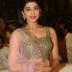 Actress Pranitha Subhash At Ntr Biopic Audio Launch Pictures 07Actress Pranitha Subhash At Ntr Biopic Audio Launch Pictures 07 svg%3E