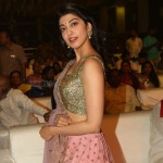 Actress Pranitha Subhash At Ntr Biopic Audio Launch Pictures 09Actress Pranitha Subhash At Ntr Biopic Audio Launch Pictures 09 svg%3E
