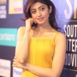 Actress Pranitha Subhash At Siima 7Th Edition Curtain Raiser Photos 04Actress Pranitha Subhash At Siima 7Th Edition Curtain Raiser Photos 04 svg%3E