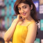 Actress Pranitha Subhash At Siima 7Th Edition Curtain Raiser Photos 06Actress Pranitha Subhash At Siima 7Th Edition Curtain Raiser Photos 06 svg%3E