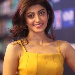 Actress Pranitha Subhash At Siima 7Th Edition Curtain Raiser Photos 11Actress Pranitha Subhash At Siima 7Th Edition Curtain Raiser Photos 11 svg%3E