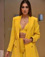 Actress Raai Laxmi at The Legend Movie Pre Release Event Photos 09 Actress Raai Laxmi at The Legend Movie Pre Release Event Photos 09
