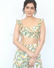 Raashii Khanna 9 Actress Raashi Khanna At Prathi Roju Pandage Movie Interview Photos