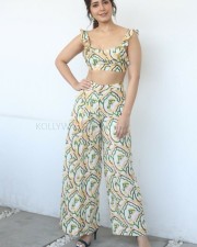 Raashii Khanna 52 Actress Raashi Khanna At Prathi Roju Pandage Movie Interview Photos