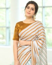 Actress Raashi Khanna At Prati Roju Pandage Movie Thanks Meet Pictures