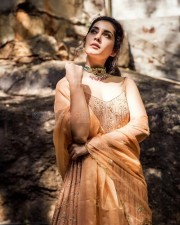 Actress Raashi Khanna At The Launch Of The Telugu Film Prati Roju Pandaage Photos