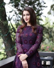 Raashii Khanna 24 Actress Raashi Khanna Photo Shoot Photos