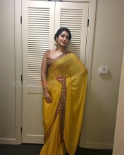 Actress Raashi Khanna Saree Photos