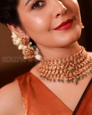 Actress Raashi Khanna in a Brown Silk Saree wearing a Matching Choker Set Photos 01