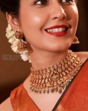 Actress Raashi Khanna in a Brown Silk Saree wearing a Matching Choker Set Photos 02 Actress Raashi Khanna in a Brown Silk Saree wearing a Matching Choker Set Photos 02