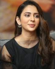 Actress Rakul Preet Singh At Manmadhudu Interview Photos
