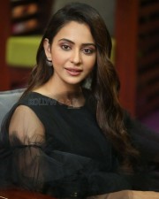 Actress Rakul Preet Singh At Manmadhudu Interview Photos