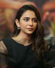 Actress Rakul Preet Singh At Manmadhudu Interview Photos