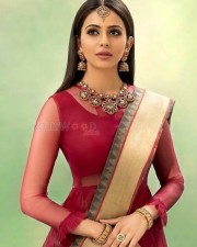 Actress Rakul Preet Singh Wedding Vows Magazine Photos