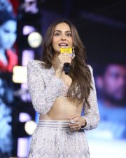 Actress Rakul Preet Singh at Indian 2 Movie Pre Release Event Pictures 42 Actress Rakul Preet Singh at Indian 2 Movie Pre Release Event Pictures 42