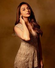 Actress Rakul Preet Singh in a Pastel Sharara Photos 02
