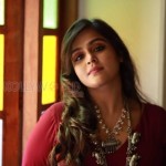 Remya Nambeesan 9