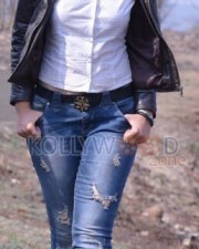 Raashii Khanna 14 Actress Rashi Khanna In Joru Movie Pictures
