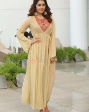 Raashii Khanna 19 Actress Rashi Khanna New Pictures