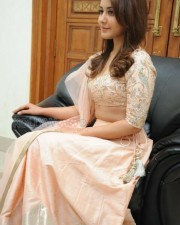 Raashii Khanna 42 Actress Rashi Khanna Photoshoot Stills