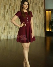 Raashii Khanna 57 Actress Rashi Khanna Sexy Skirt Photos