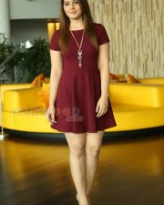 Raashii Khanna 46 Actress Rashi Khanna Sexy Skirt Photos