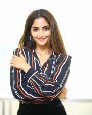 Actress Reba Monica John at FIR Movie Success Meet Photos 14 Actress Reba Monica John at FIR Movie Success Meet Photos 14