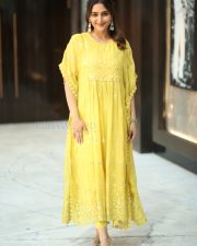 Actress Reba Monica John at Mrithyunjay Movie Success Meet Pictures 09