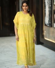 Actress Reba Monica John at Mrithyunjay Movie Success Meet Pictures 10