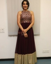 Actress Regina At Saravanan Irukka Bayamean Success Meet Stills
