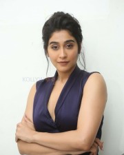 Actress Regina Cassandra At Evaru Movie Pre Release Event Photos