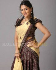 Remya Nambeesan 56 Actress Remya Stills