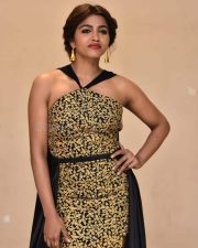 Actress Sai Dhanshika at Shikaaru Pre Release Event Photos 06