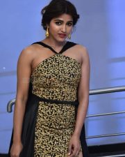 Actress Sai Dhanshika at Shikaaru Pre Release Event Photos 11