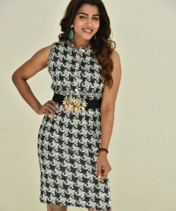 Actress Sai Dhanshika at Shikaru Movie Press Meet Pictures 21
