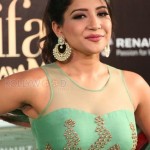 Sakshi Agarwal 25 Actress Sakshi Agarwal At Iifa Utsavam Event Pictures