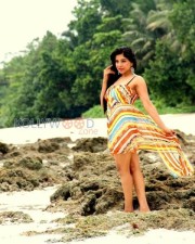 Actress Sakshi Sexy Photos