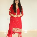 Sasha Singh 45 Actress Sasha Singh At Edaina Jaragochu Press Meet Stills