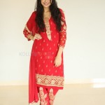 Sasha Singh 44 Actress Sasha Singh At Edaina Jaragochu Press Meet Stills