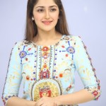 Sayyeshaa Saigal 18