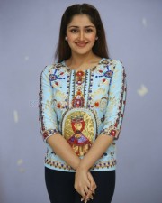 Actress Sayesha Saigal At Chinababu Movie Success Meet Photos