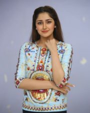 Actress Sayesha Saigal At Chinababu Movie Success Meet Photos