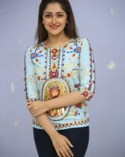 Actress Sayesha Saigal At Chinababu Movie Success Meet Photos