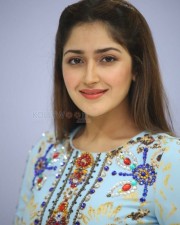 Actress Sayesha Saigal At Chinababu Movie Success Meet Photos