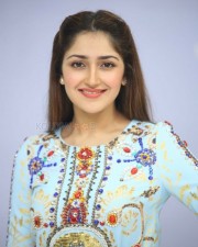 Actress Sayesha Saigal At Chinababu Movie Success Meet Photos