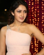Actress Sayesha Saigal Stills