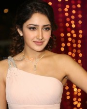 Actress Sayesha Saigal Stills