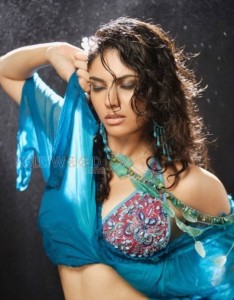 Actress Sherin Sexy Photos